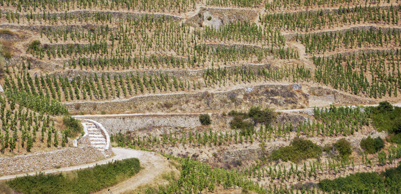 Soirée Rhône Dégustation_Agenda Cave des Grands cru