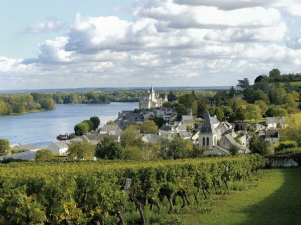 Degustation Valee de la Loire_la cave des grands crus