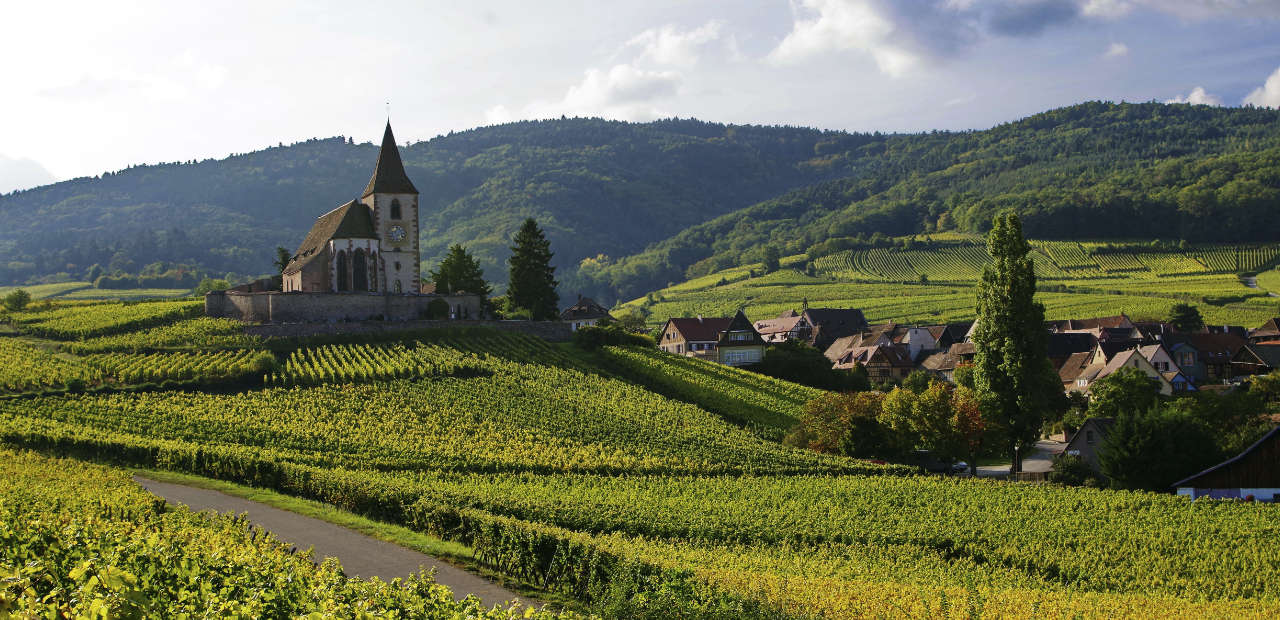 Soirée Degustation vin Alsace_Agenda cave des grands crus