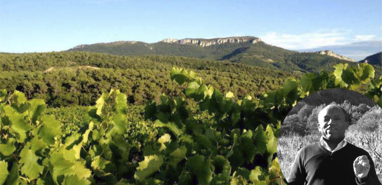 jean-christian-mayordome-domaine du Pourra_Cave des Grands Crus