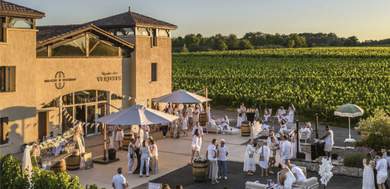 VIGNOBLE DES VERDOTS 4_Caves des Grands Crus